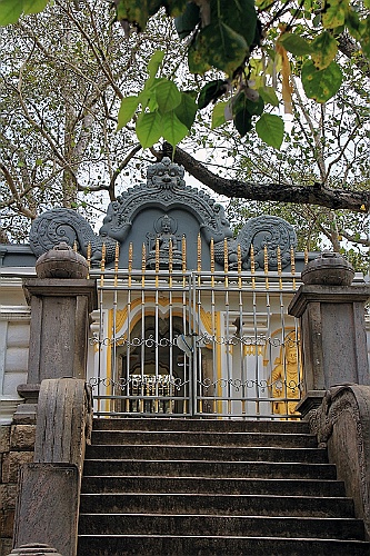 SriLan (165)